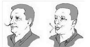 Description: A person with short hair

AI-generated content may be incorrect.